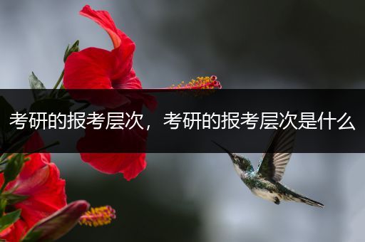 考研的报考层次，考研的报考层次是什么