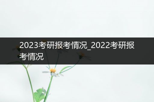 2023考研报考情况_2022考研报考情况