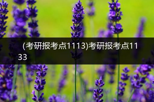 （考研报考点1113)考研报考点1133