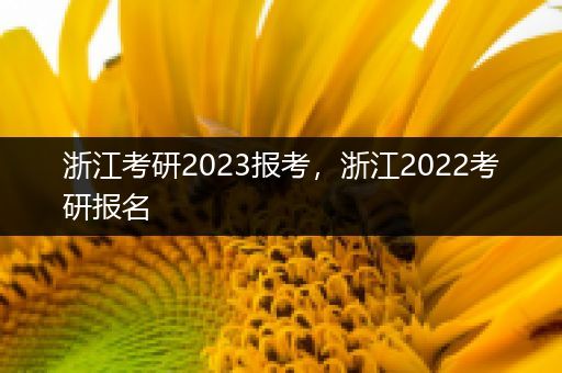 浙江考研2023报考，浙江2022考研报名