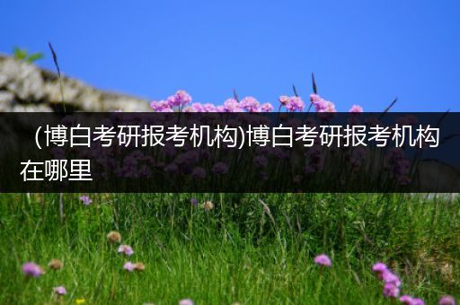 （博白考研报考机构)博白考研报考机构在哪里