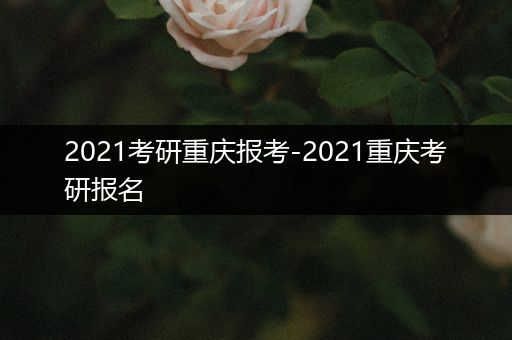 2021考研重庆报考-2021重庆考研报名