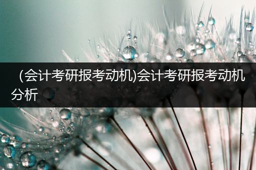 （会计考研报考动机)会计考研报考动机分析