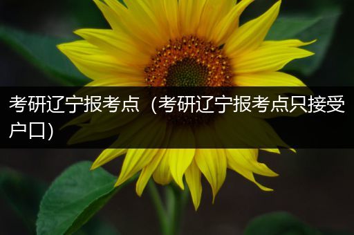 考研辽宁报考点（考研辽宁报考点只接受户口）