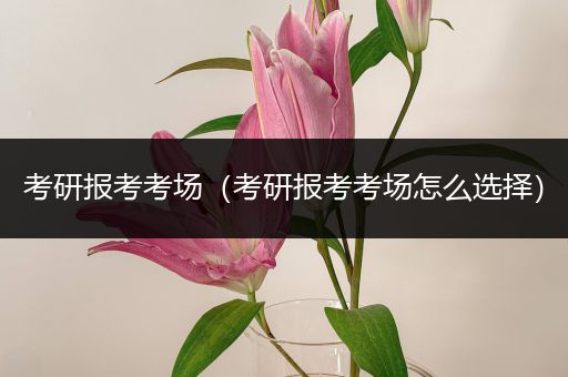 考研报考考场（考研报考考场怎么选择）