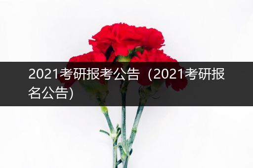 2021考研报考公告（2021考研报名公告）