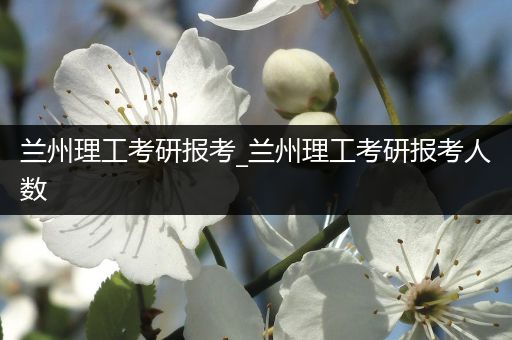 兰州理工考研报考_兰州理工考研报考人数