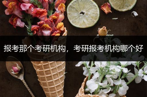 报考那个考研机构，考研报考机构哪个好