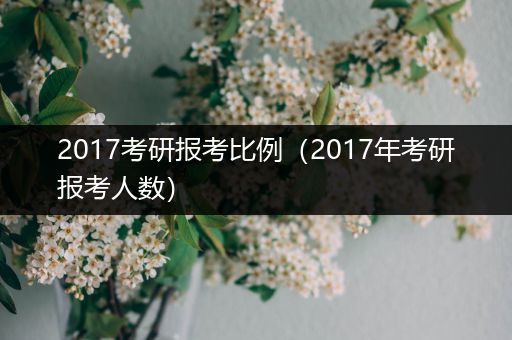 2017考研报考比例（2017年考研报考人数）