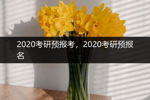 2020考研预报考，2020考研预报名