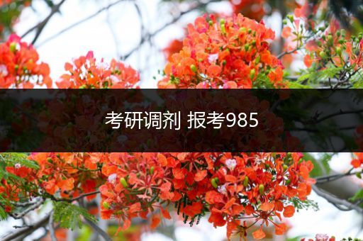 考研调剂 报考985