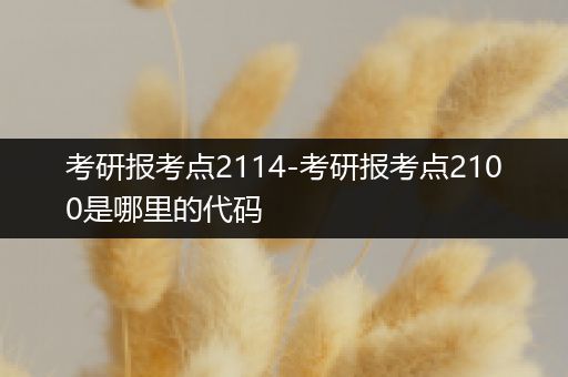 考研报考点2114-考研报考点2100是哪里的代码