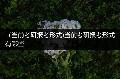 （当前考研报考形式)当前考研报考形式有哪些