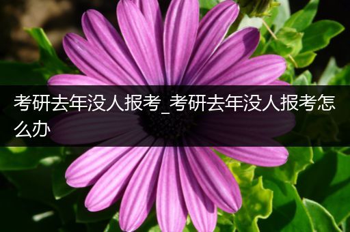 考研去年没人报考_考研去年没人报考怎么办