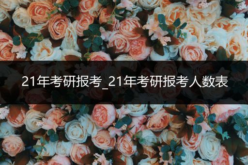 21年考研报考_21年考研报考人数表