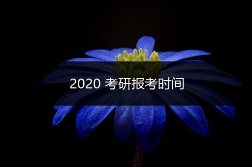 2020 考研报考时间