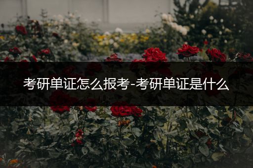 考研单证怎么报考-考研单证是什么