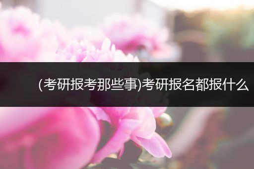 （考研报考那些事)考研报名都报什么