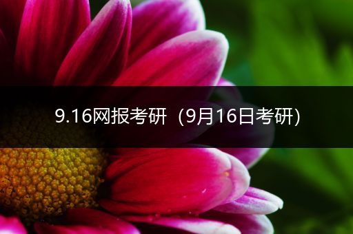 9.16网报考研（9月16日考研）