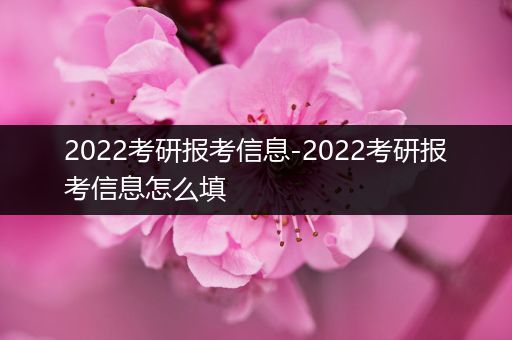 2022考研报考信息-2022考研报考信息怎么填