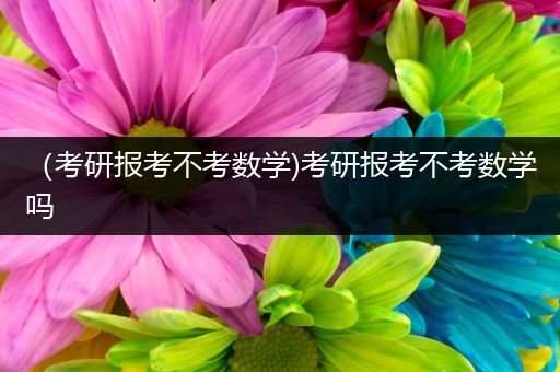 （考研报考不考数学)考研报考不考数学吗