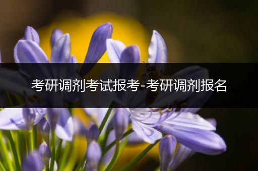 考研调剂考试报考-考研调剂报名