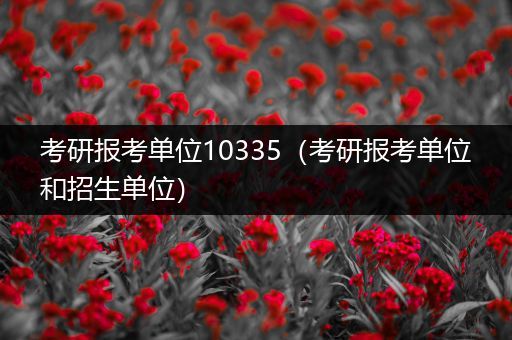 考研报考单位10335（考研报考单位和招生单位）