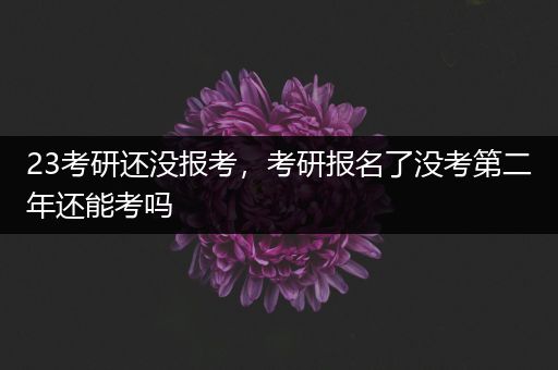 23考研还没报考，考研报名了没考第二年还能考吗