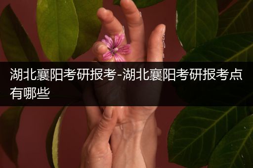 湖北襄阳考研报考-湖北襄阳考研报考点有哪些