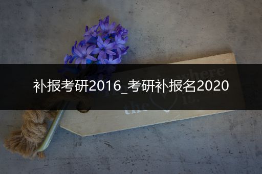 补报考研2016_考研补报名2020