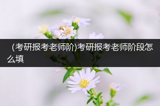 （考研报考老师阶)考研报考老师阶段怎么填