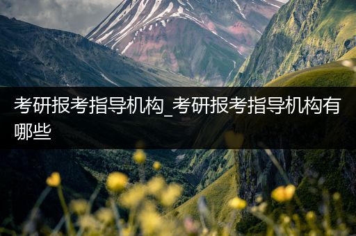 考研报考指导机构_考研报考指导机构有哪些