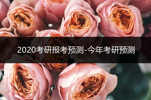 2020考研报考预测-今年考研预测