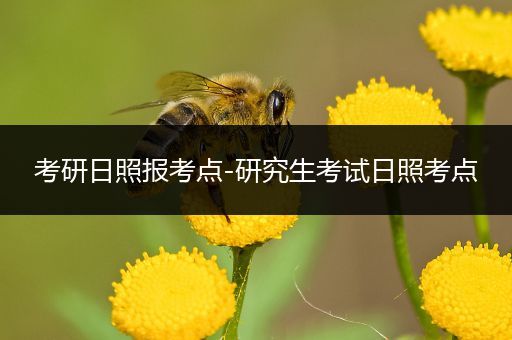 考研日照报考点-研究生考试日照考点