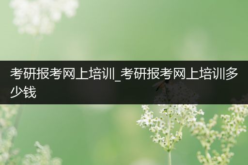 考研报考网上培训_考研报考网上培训多少钱