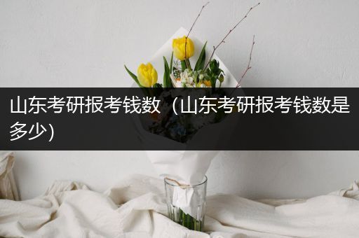 山东考研报考钱数（山东考研报考钱数是多少）