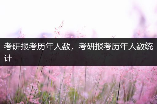 考研报考历年人数，考研报考历年人数统计