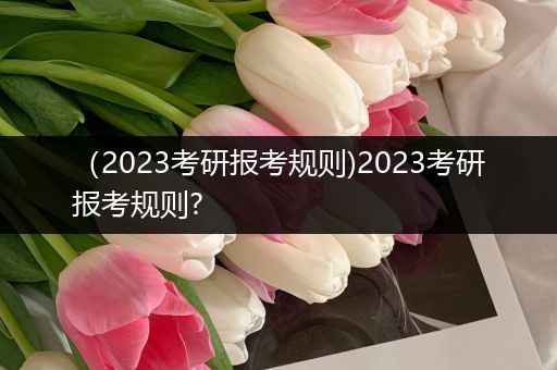 （2023考研报考规则)2023考研报考规则?