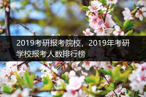 2019考研报考院校，2019年考研学校报考人数排行榜