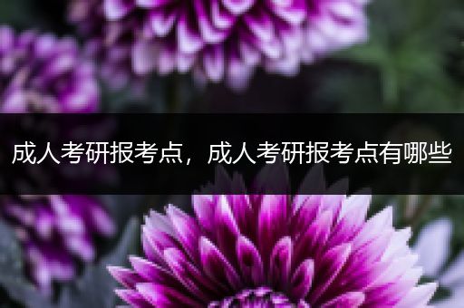 成人考研报考点，成人考研报考点有哪些