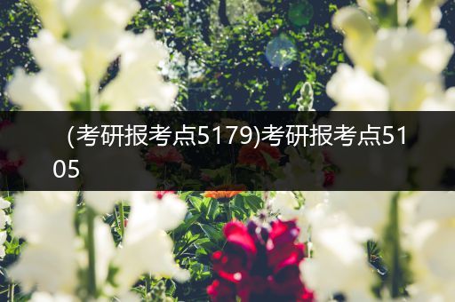 （考研报考点5179)考研报考点5105