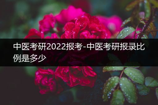 中医考研2022报考-中医考研报录比例是多少