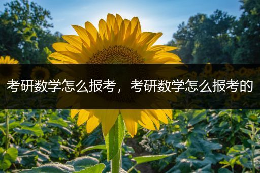 考研数学怎么报考，考研数学怎么报考的