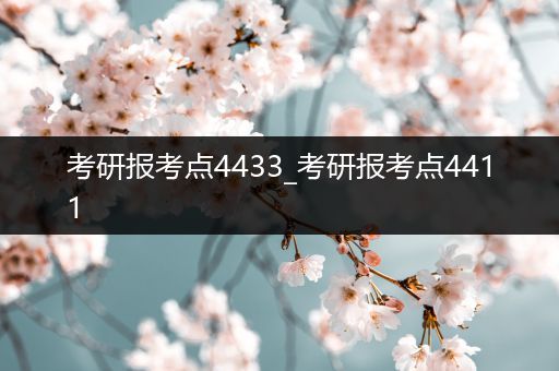 考研报考点4433_考研报考点4411