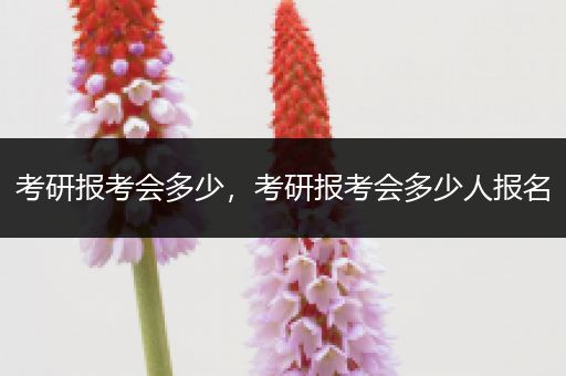 考研报考会多少，考研报考会多少人报名