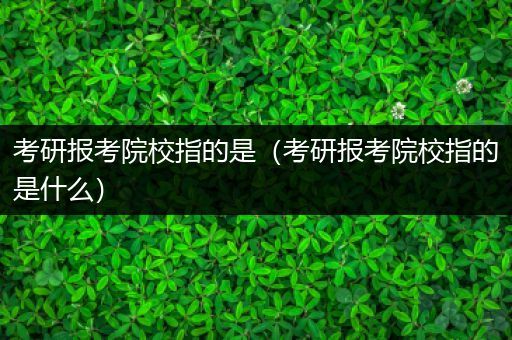 考研报考院校指的是（考研报考院校指的是什么）