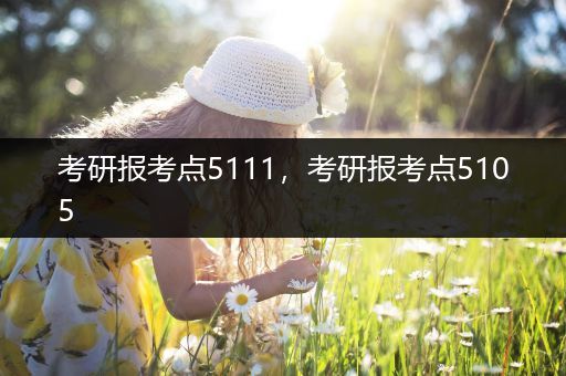 考研报考点5111，考研报考点5105