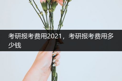 考研报考费用2021，考研报考费用多少钱