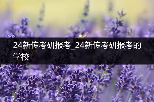 24新传考研报考_24新传考研报考的学校