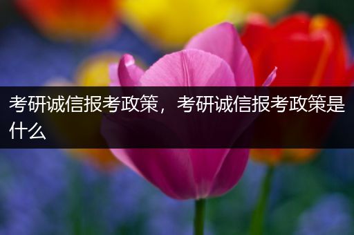 考研诚信报考政策，考研诚信报考政策是什么